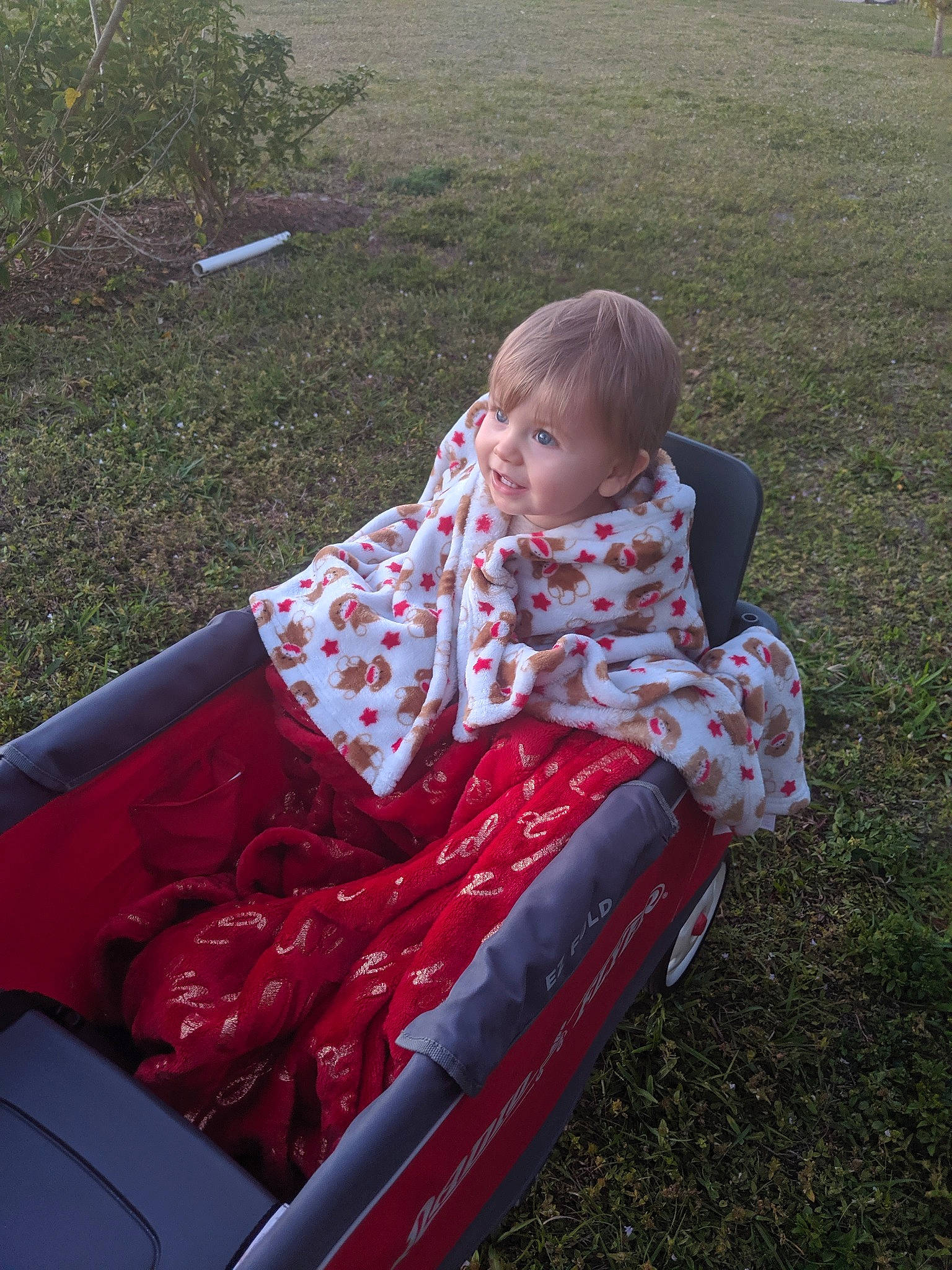 Daniel is registered to the contest to win money with this photo: baby, baby_products, child, fun, grass, joy, lawn, leaf, leisure, person, plant, play, product, red, sitting, toddler