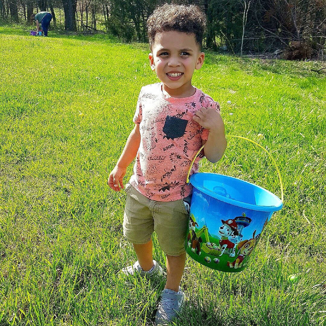 Giovanni is registered to the contest to win money with this photo: bucket, child, fun, garden, grass, grass_family, joy, lawn, leaf, leisure, person, plant, play, spring, summer, toddler, tree, vacation, vehicle, wheelbarrow