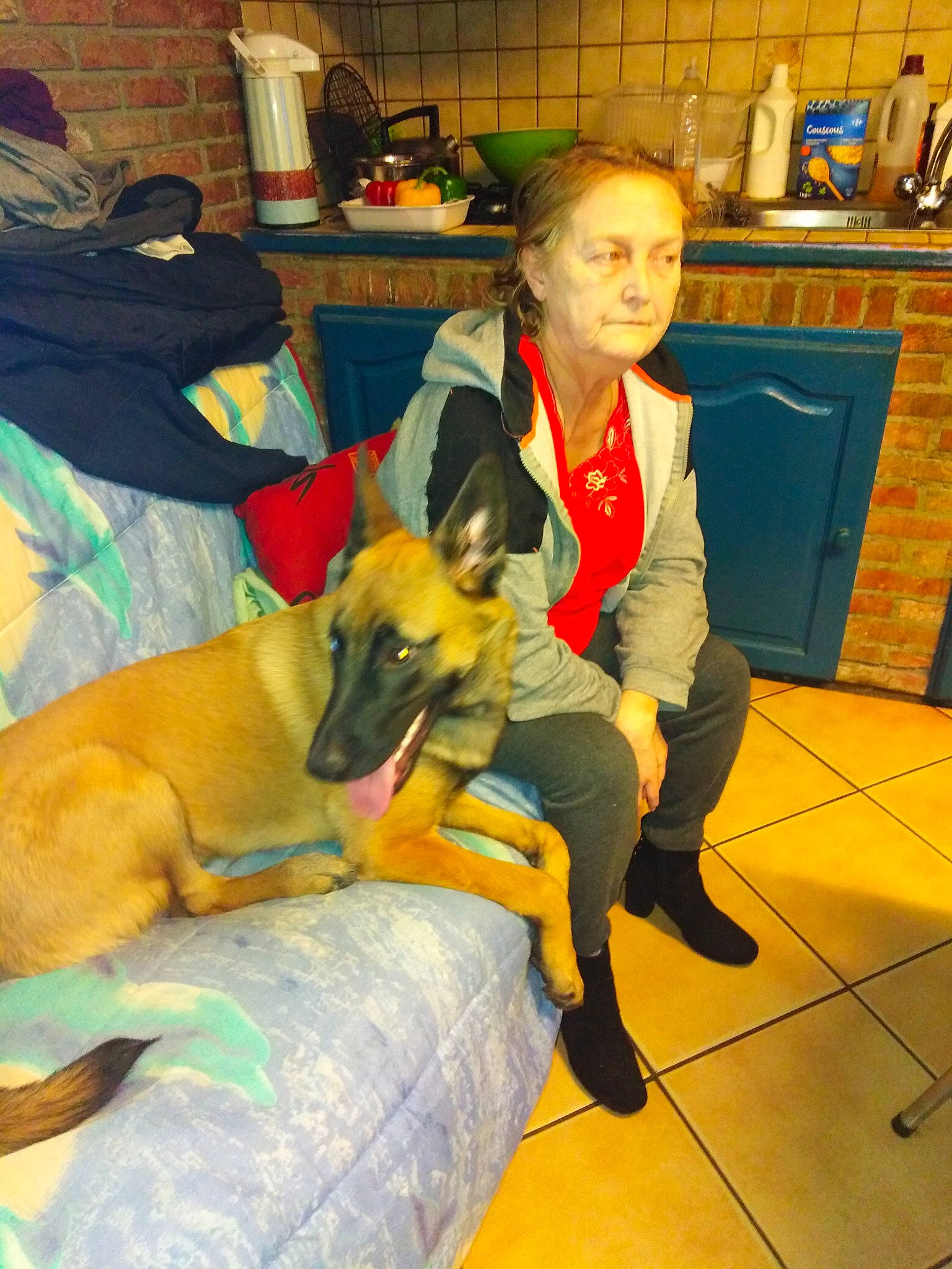 Boy participe au concours pour gagner de l'argent avec cette photo : bag, cabinetry, canidae, carnivore, chair, comfort, companion_dog, couch, dog, dog_breed, fawn, fun, houseplant, lap, leisure, luggage_and_bags, room, shelf, smile, sporting_group