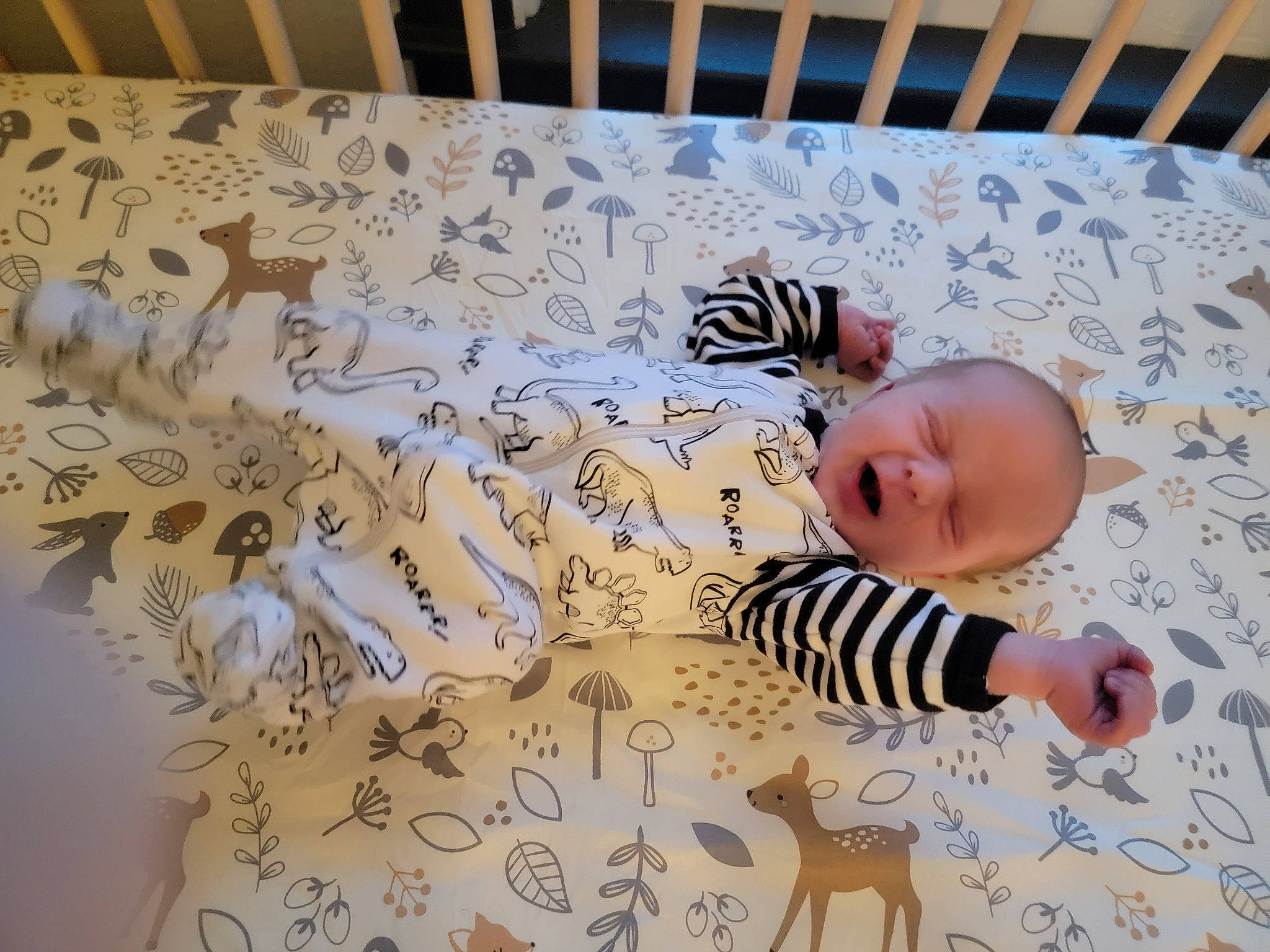 Arlo joined the competition — help win amazing prizes! art, baby, baby_products, baby_safety, baby_toddler_clothing, child, comfort, design, flooring, infant_bed, linens, mammal, pattern, person, room, textile, toddler, tree, visual_arts, white