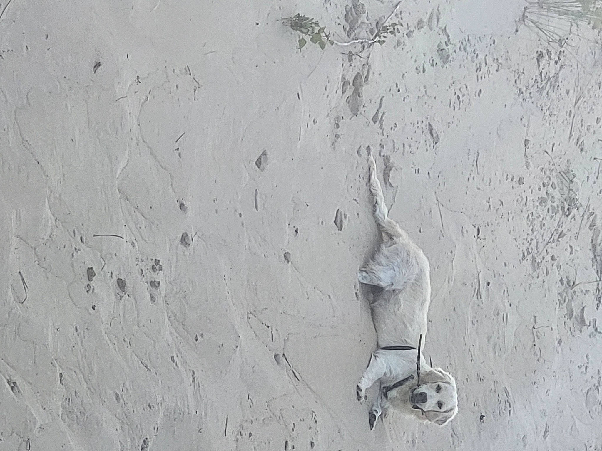 Scott a rejoint le concours — aidez-le/la à gagner de superbes lots ! art, asphalt, cement, concrete, font, foot, grey, human_leg, landscape, metal, monochrome, monochrome_photography, plaster, rock, sand, shadow, soil, still_life_photography, visual_arts, wood