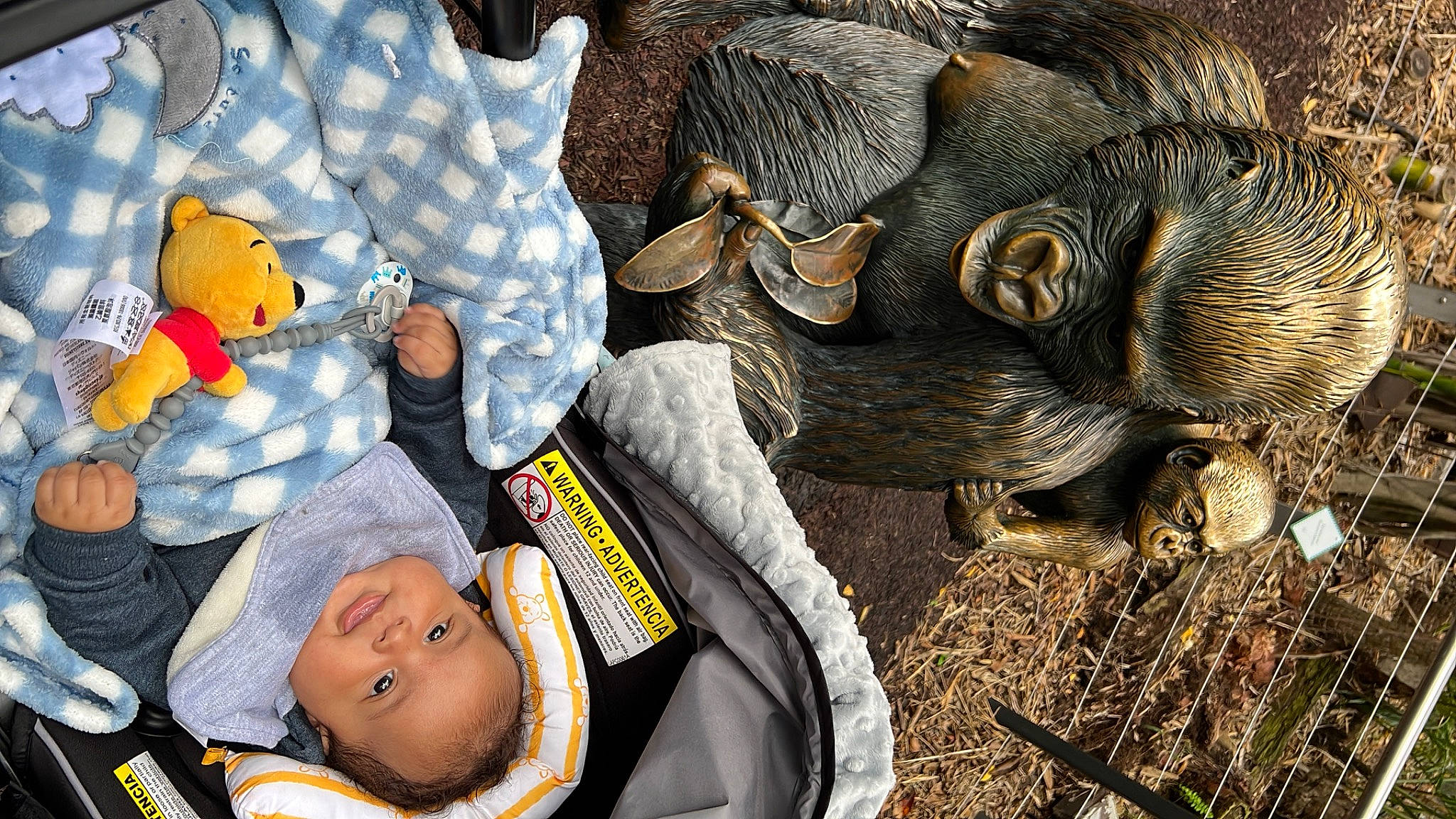 Julio joined the competition — help win amazing prizes! baby, baby_products, cap, child, fun, fur, grass, happy, herd, livestock, metal, organism, pattern, person, snout, terrestrial_animal, toddler, tree, wildlife, working_animal