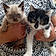 Willow Et Zazie