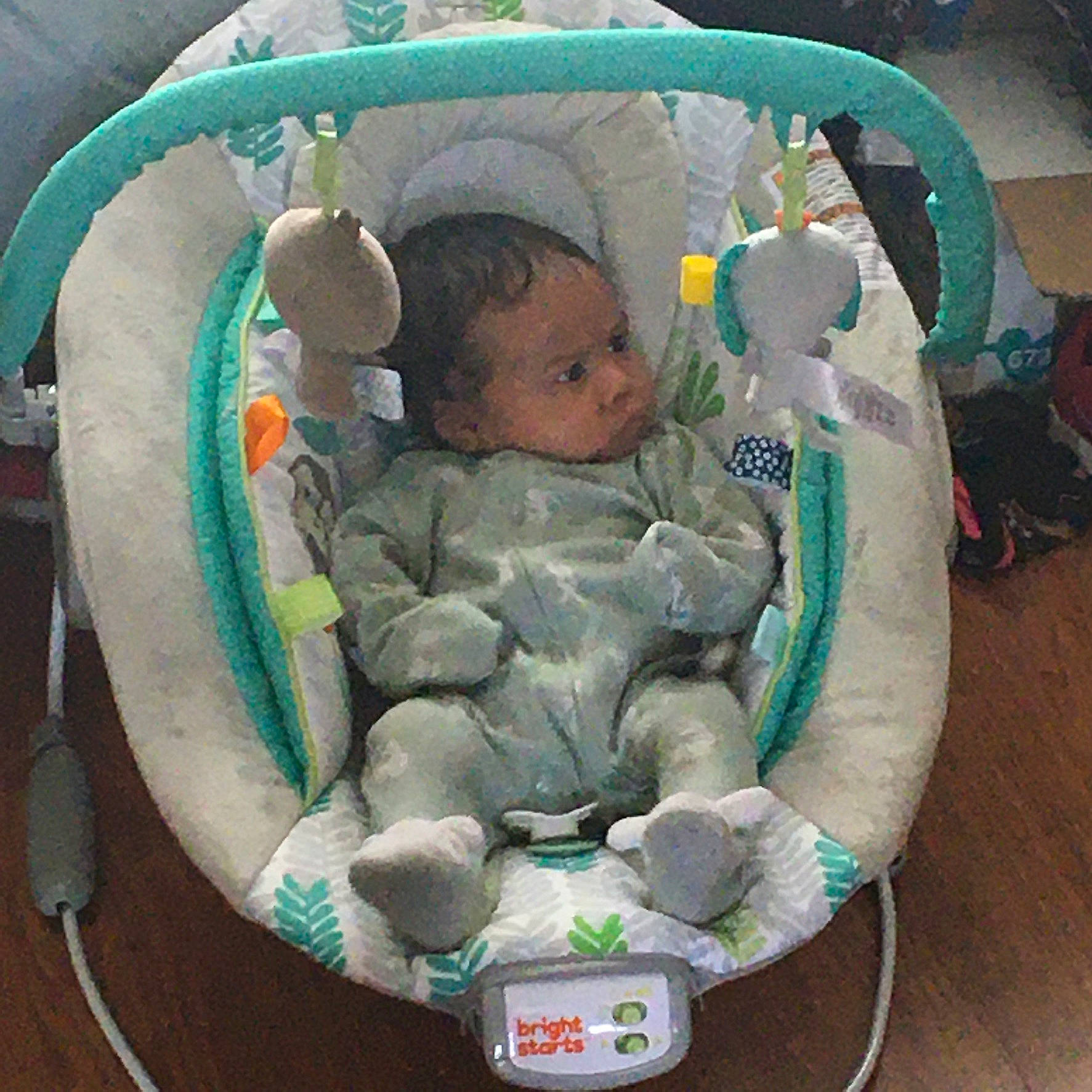 Bear is registered to the contest to win money with this photo: baby, baby_carriage, baby_mobile, baby_products, baby_safety, baby_toys, child, circle, comfort, cradle, green, infant_bed, person, plastic, room, sitting, stuffed_toy, toddler, toy