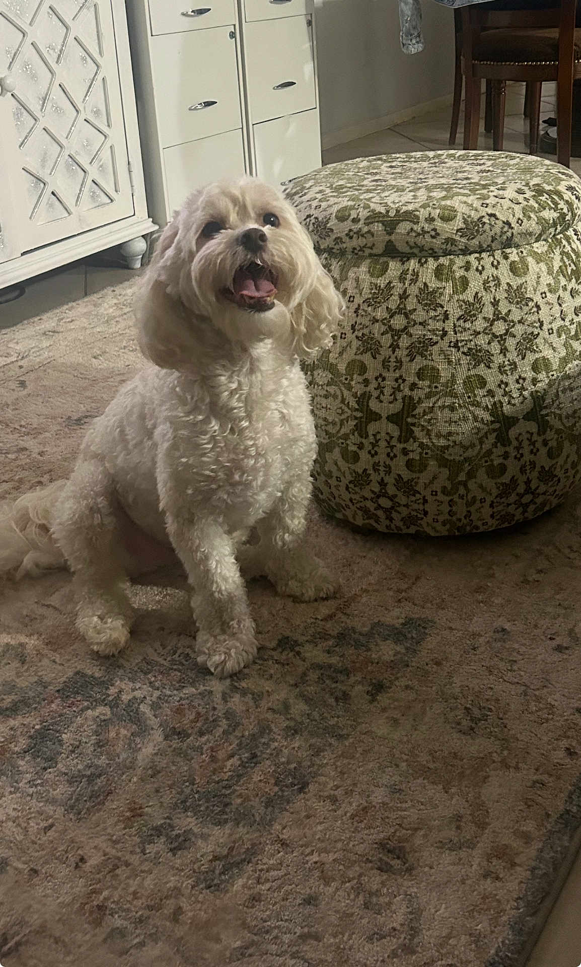 Mylo