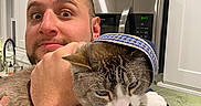 Appa joined the competition — help win amazing prizes! man, cat, hat, kitchen, cabinet, microwave, countertop, appliance, indoor, pet, holding, expression, face, arm, clothing, white_cabinet, modern, human, animal, funny