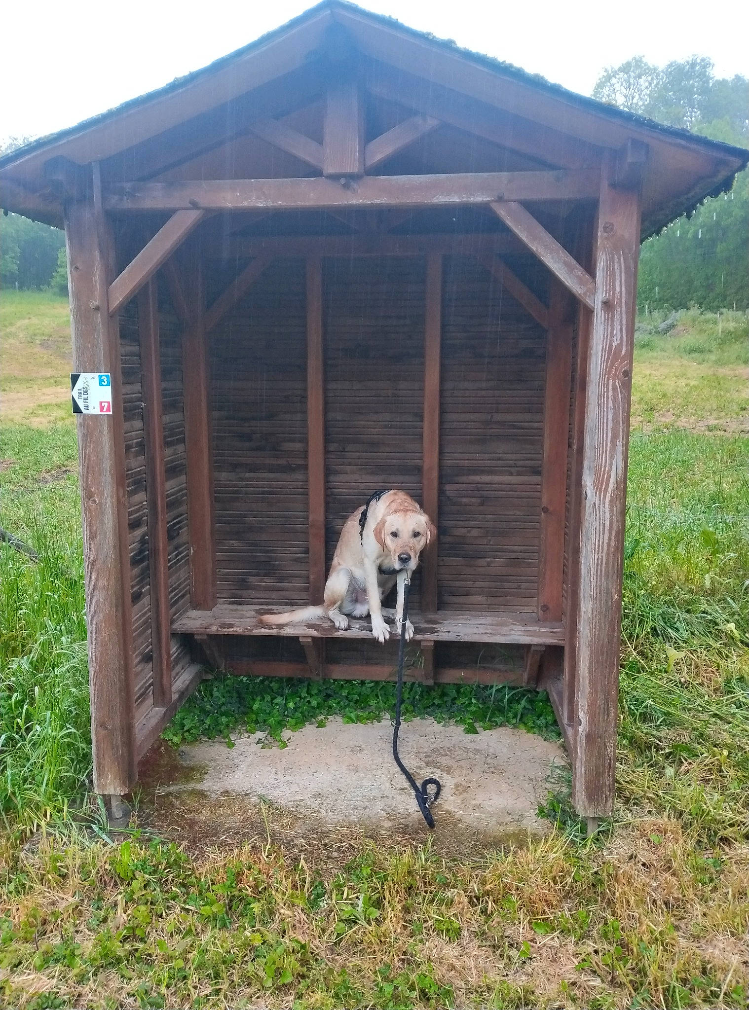Haru participe au concours pour gagner de l'argent avec cette photo : agriculture, animal_shelter, carnivore, cottage, dog_supply, doghouse, fawn, garden_buildings, grass, hut, kennel, landscape, mammal, outdoor_structure, pet_supply, plant, shack, sky, vertebrate, wood