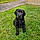 Athos