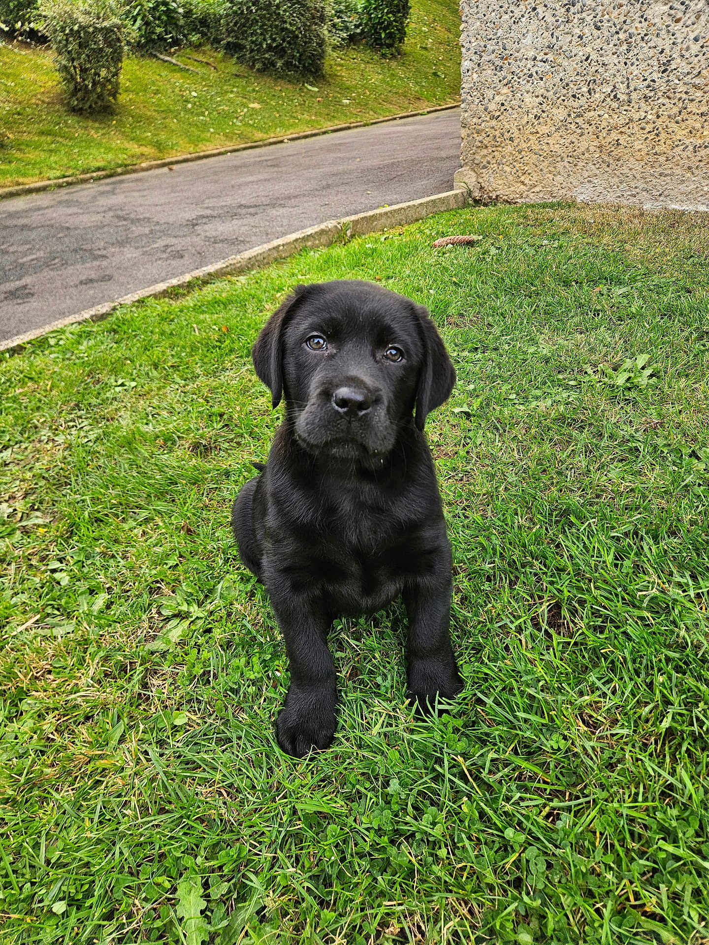 Athos