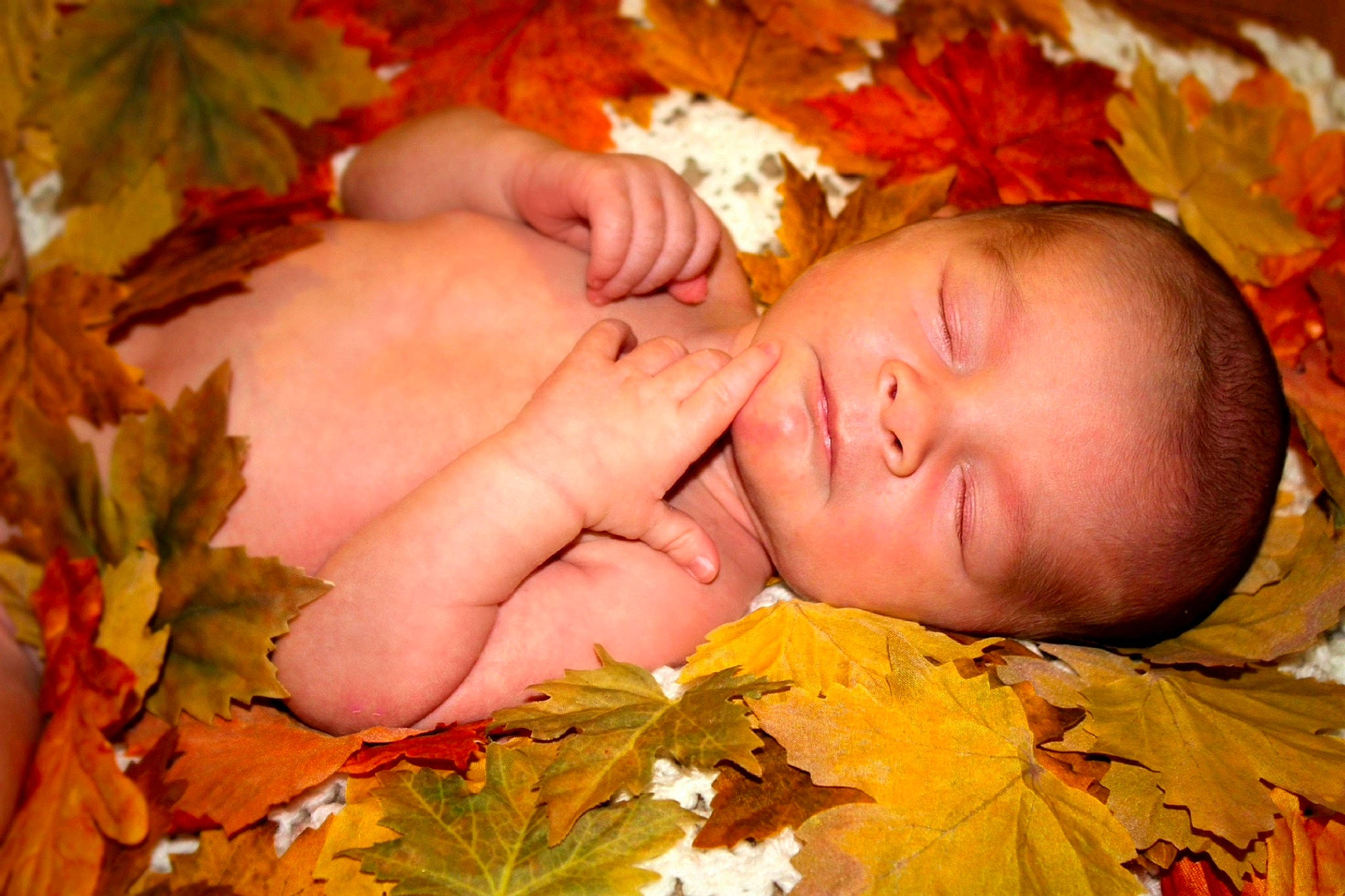 Kaysen is registered to the contest to win money with this photo: baby, botany, cheek, deciduous, eye, facial_expression, grass, happy, head, leaf, nature, orange, people_in_nature, person, plant, skin, toddler, tree, wood, woody_plant