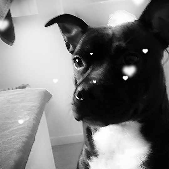 Kaya
