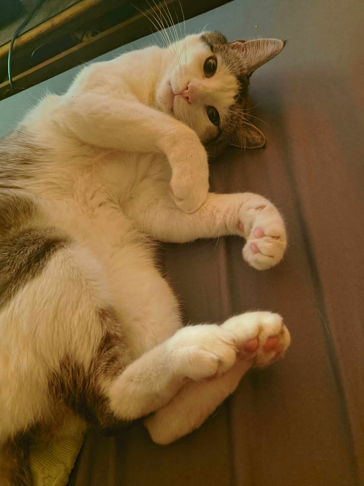 Casper