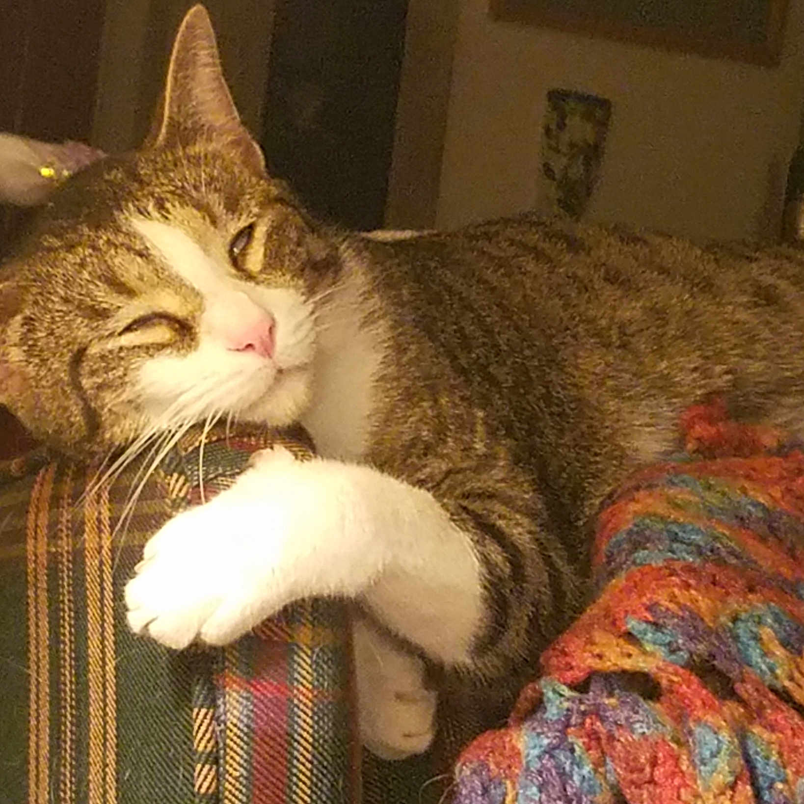 Bubbie