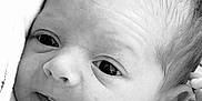 Lexy participe au concours pour gagner de l'argent avec cette photo : baby, newborn, face, blanket, pacifier, infant, closeup, portrait, skin, head, hair, eyes, mouth, clothing, soft, cute, child, newborn_baby, black_and_white, wrapped