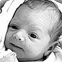 baby, newborn, face, blanket, pacifier, infant, closeup, portrait, skin, head, hair, eyes, mouth, clothing, soft, cute, child, newborn_baby, black_and_white, wrapped