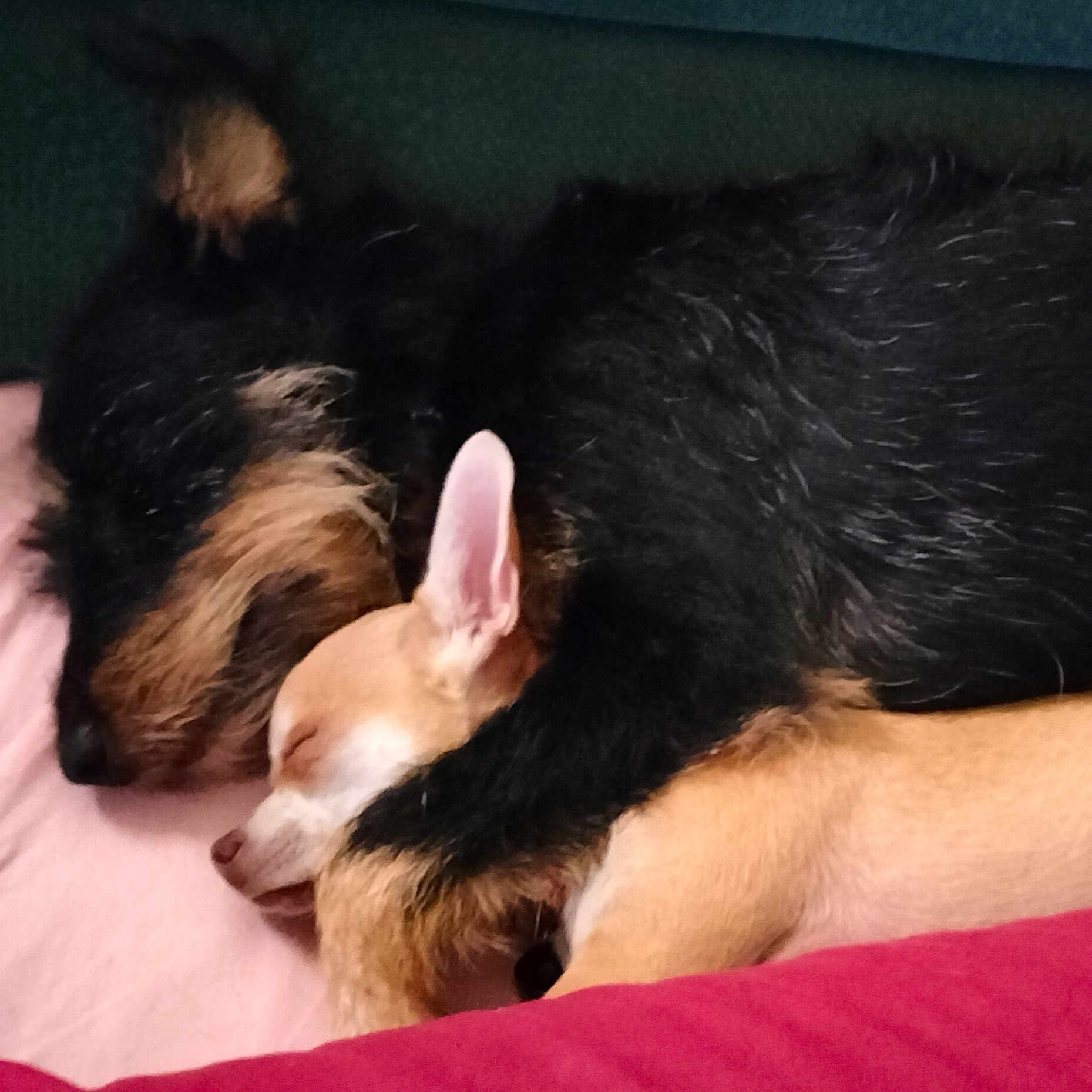 Aby