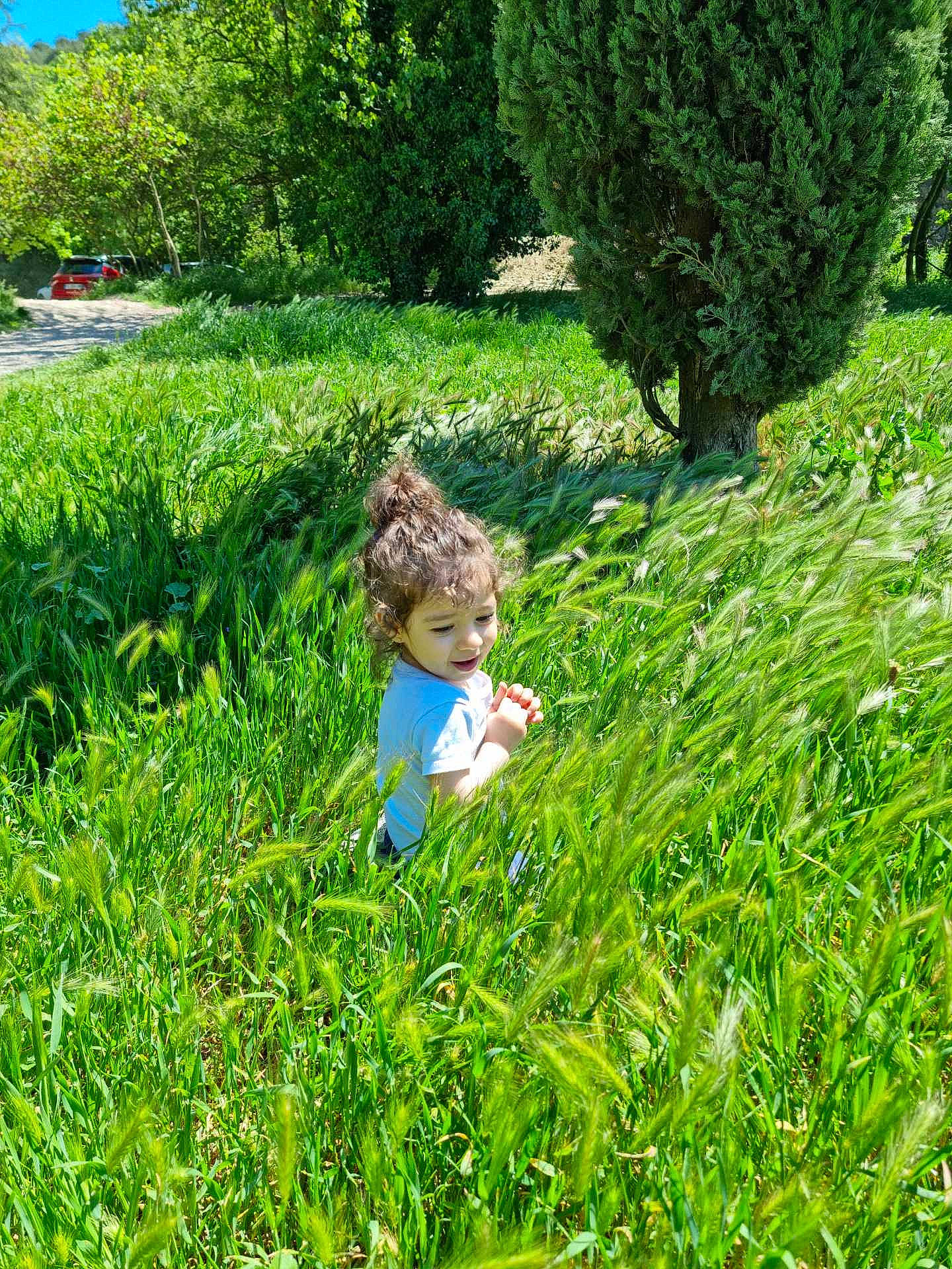 Giuliann participe au concours pour gagner de l'argent avec cette photo : botany, field, grass, grass_family, grassland, groundcover, landscape, lawn, meadow, natural_landscape, pasture, people_in_nature, person, plant, plant_community, prairie, shrub, sky, terrestrial_plant, toddler