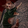 animal, bed, bedspread, cat, costume, curious, cute, domestic_animal, ears, feline, green_costume, indoor, looking_up, lying_down, orange_cat, patterned_bedspread, pet, tail, whiskers, white_cat