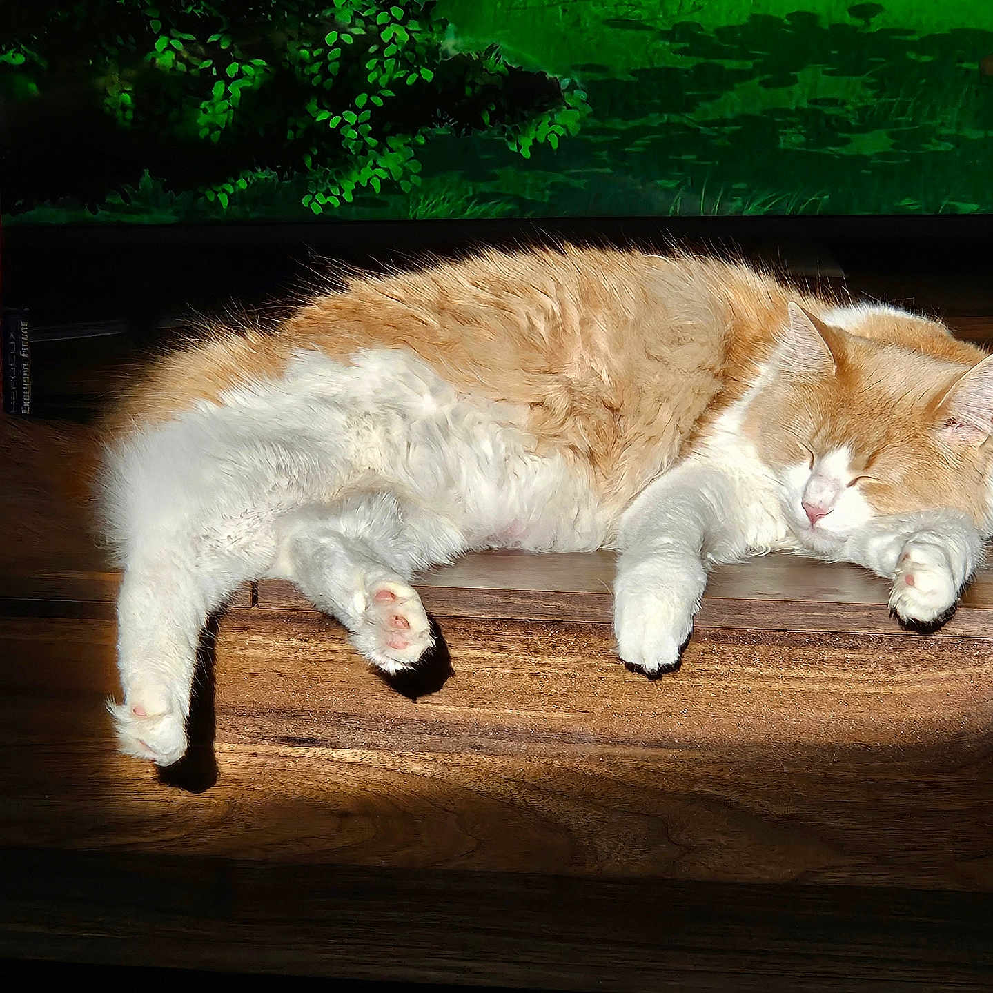 Oliver