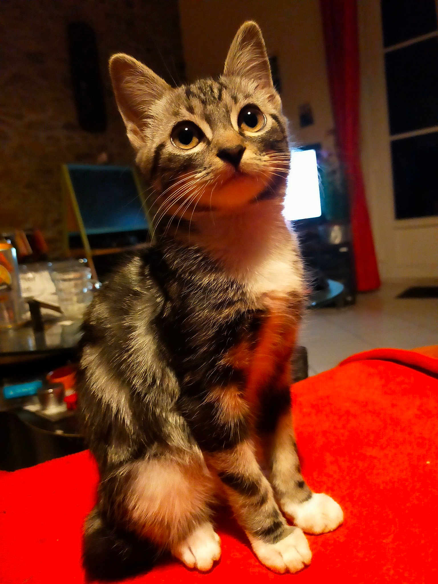 Simba