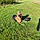 Louna