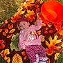 Nova Ann joined the competition — help win amazing prizes! baby, infant, blanket, autumn_leaves, outdoor, grass, orange_bucket, headband, pink_clothing, polka_dot, socks, fall, child, cute, lying_down, seasonal, nature, soft_toy, relaxing, daylight