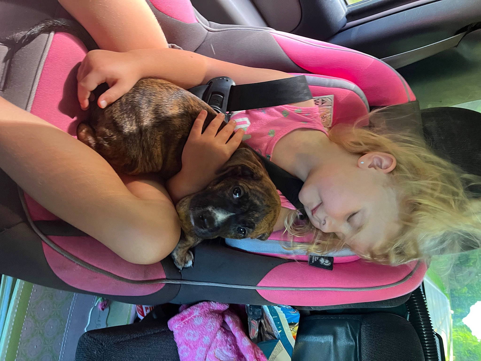 Trinity is registered to the contest to win money with this photo: car, car_seat, child, comfort, event, eyewear, fun, happy, human_body, human_leg, joint, lap, leisure, mouth, person, pink, recreation, shoulder, thigh, vehicle_door