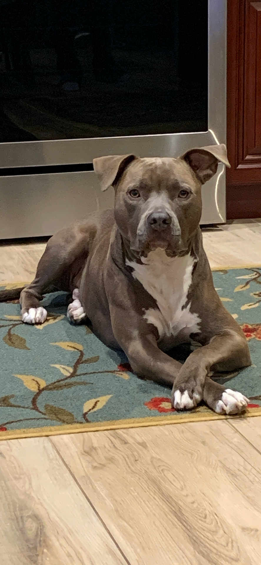 Scooby