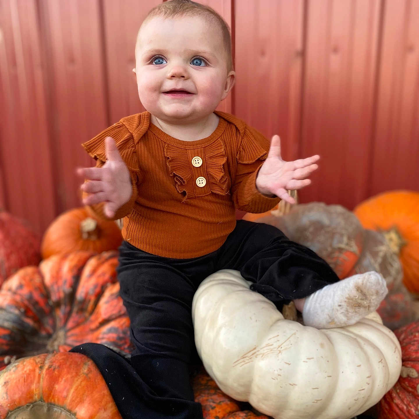 Everleigh is registered to the contest to win money with this photo: baby, bodypart, clothing, face, finger, food, glove, hand, head, pants, person, photography, plant, portrait, pottedplant, produce, pumpkin, sitting, squash, vegetable