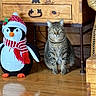 Sammy is registered to the contest to win money with this photo: cat, tabby_cat, plush_toy, penguin_toy, scarf, winter_hat, wooden_floor, wooden_cabinet, indoor, furniture, floor_reflection, pet, animal, decor, cozy, sitting, cute, holiday, soft_toy, domestic
