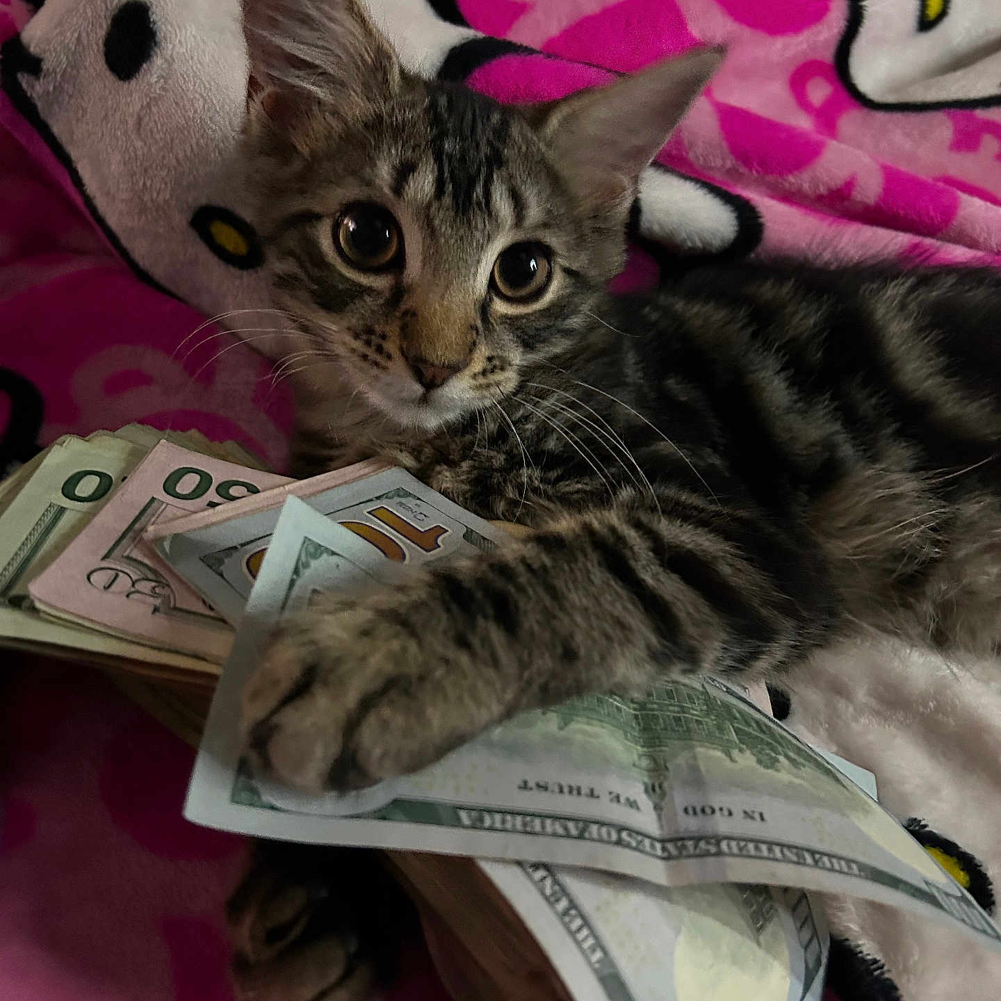 Cash