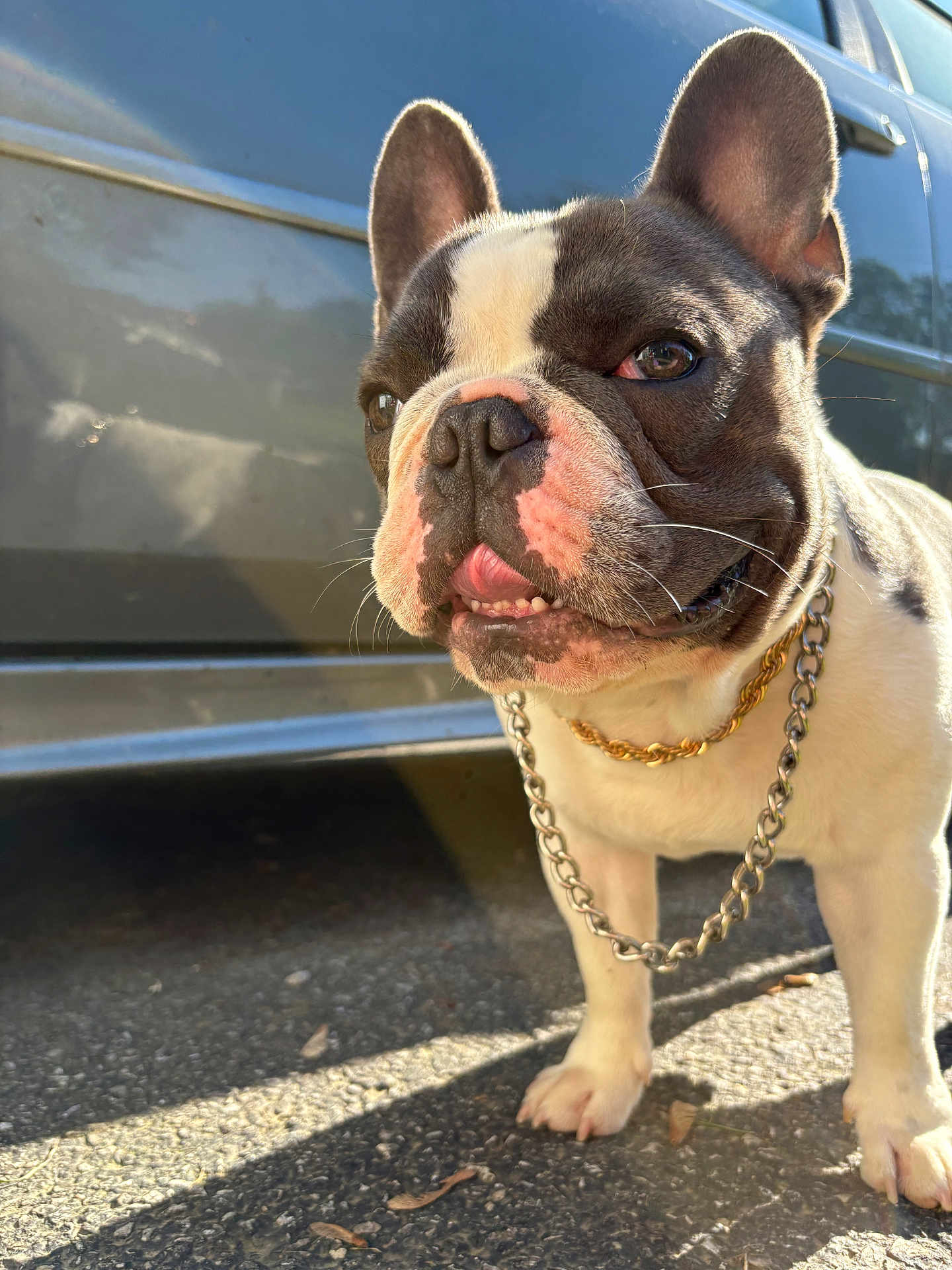 Scrappy