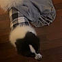 dog, black_and_white, plaid, clothing, outfit, floor, wooden_floor, feet, slippers, indoor, pet, animal, furry, tail, cozy, dim_lighting, home, domestic, cute, companion