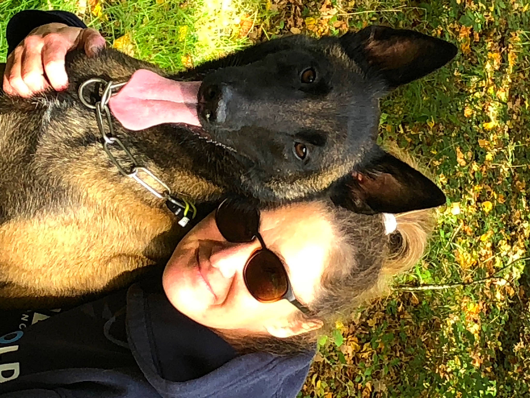 Pignouf participe au concours pour gagner de l'argent avec cette photo : carnivore, collar, dog, dog_breed, eyewear, fashion_accessory, fawn, fun, fur, gesture, goggles, grass, mammal, plant, smile, snout, sunglasses, vertebrate, working_animal, wrist