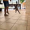 action, casual_clothing, cat, floor, furniture, home, indoor, jumping, light, living_room, person, plant, playful, room, shadow, shorts, sneakers, tile_floor, toy, window