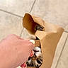 cat, paper_bag, hand, floor, tiles, foot, sandal, curious, pet, animal, brown, white, feline, indoor, closeup, looking, playful, human, nail_polish, holding