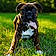 Bruno