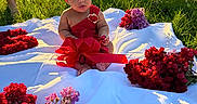 Eleanor joined the competition — help win amazing prizes! baby, child, crown, red_dress, flowers, white_blanket, outdoor, grass, sunlight, portrait, person, nature, greenery, summer, garden, sitting, cute, happy, headwear, flower_arrangement