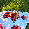 Eleanor is registered to the contest to win money with this photo: baby, child, crown, red_dress, flowers, grass, outdoor, white_cloth, number_six, smiling, sunlight, portrait, cute, nature, celebration, greenery, playful, happy, flower_arrangement, baby_girl