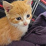 Charly participe au concours pour gagner de l'argent avec cette photo :