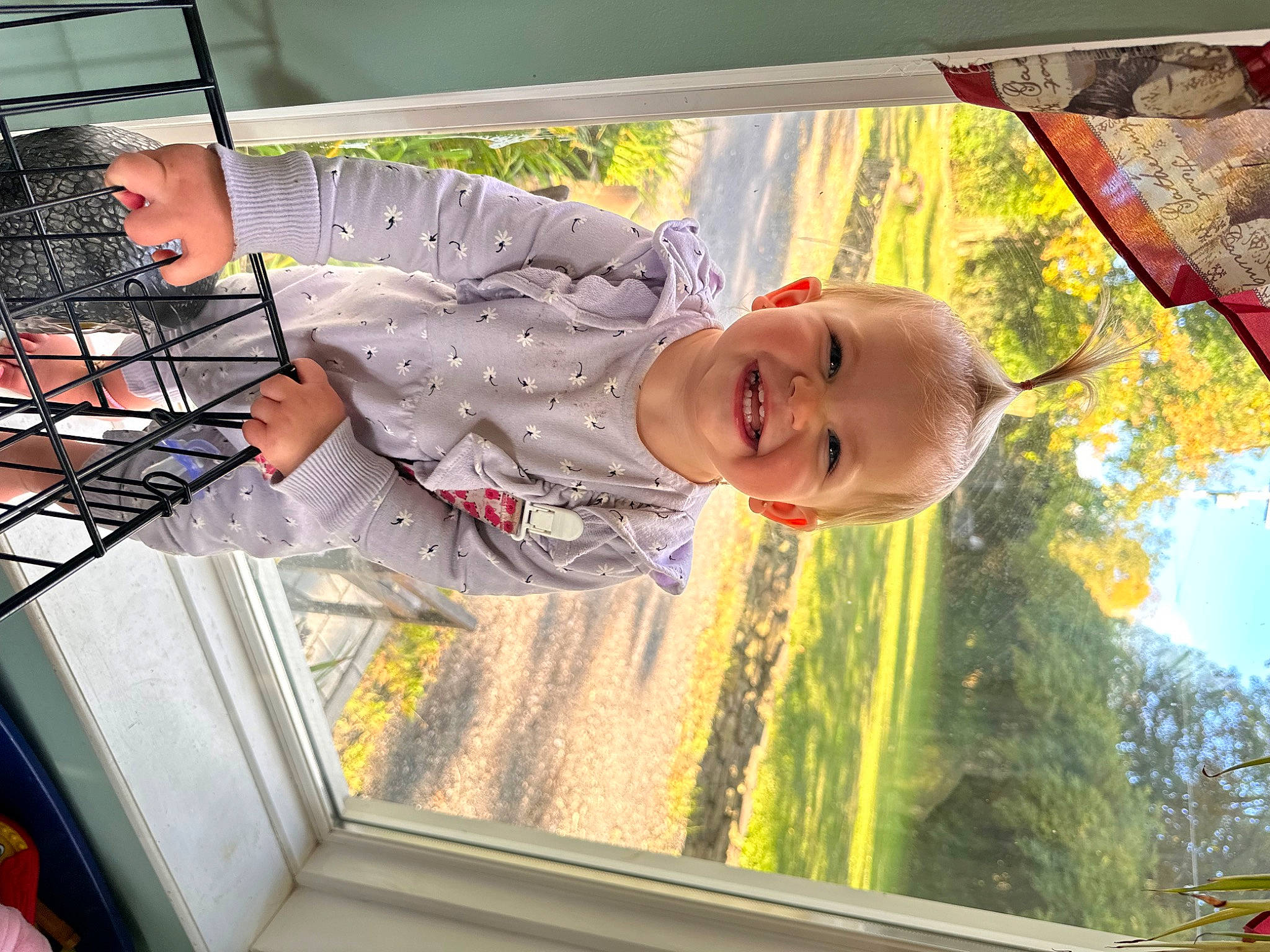 Maisie joined the competition — help win amazing prizes! child, fun, grass, happy, joy, leisure, mesh, organ, person, plant, play, product, sky, smile, snapshot, tints_and_shades, toddler, tree, vacation, vehicle_door