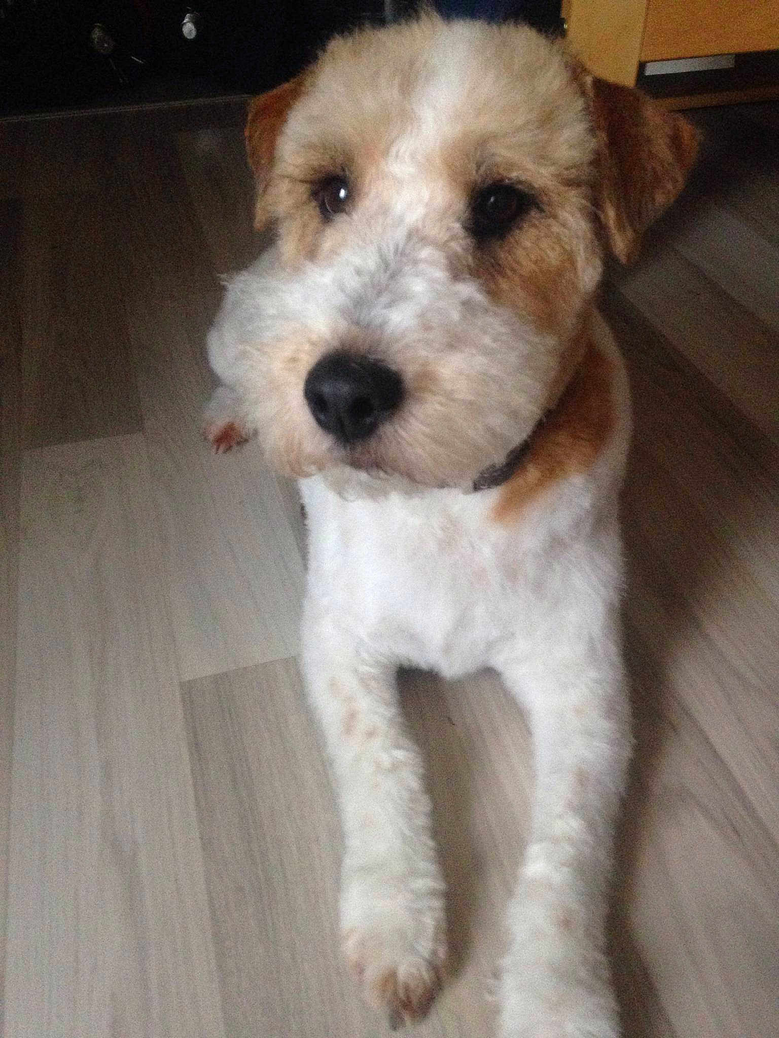 Tyson