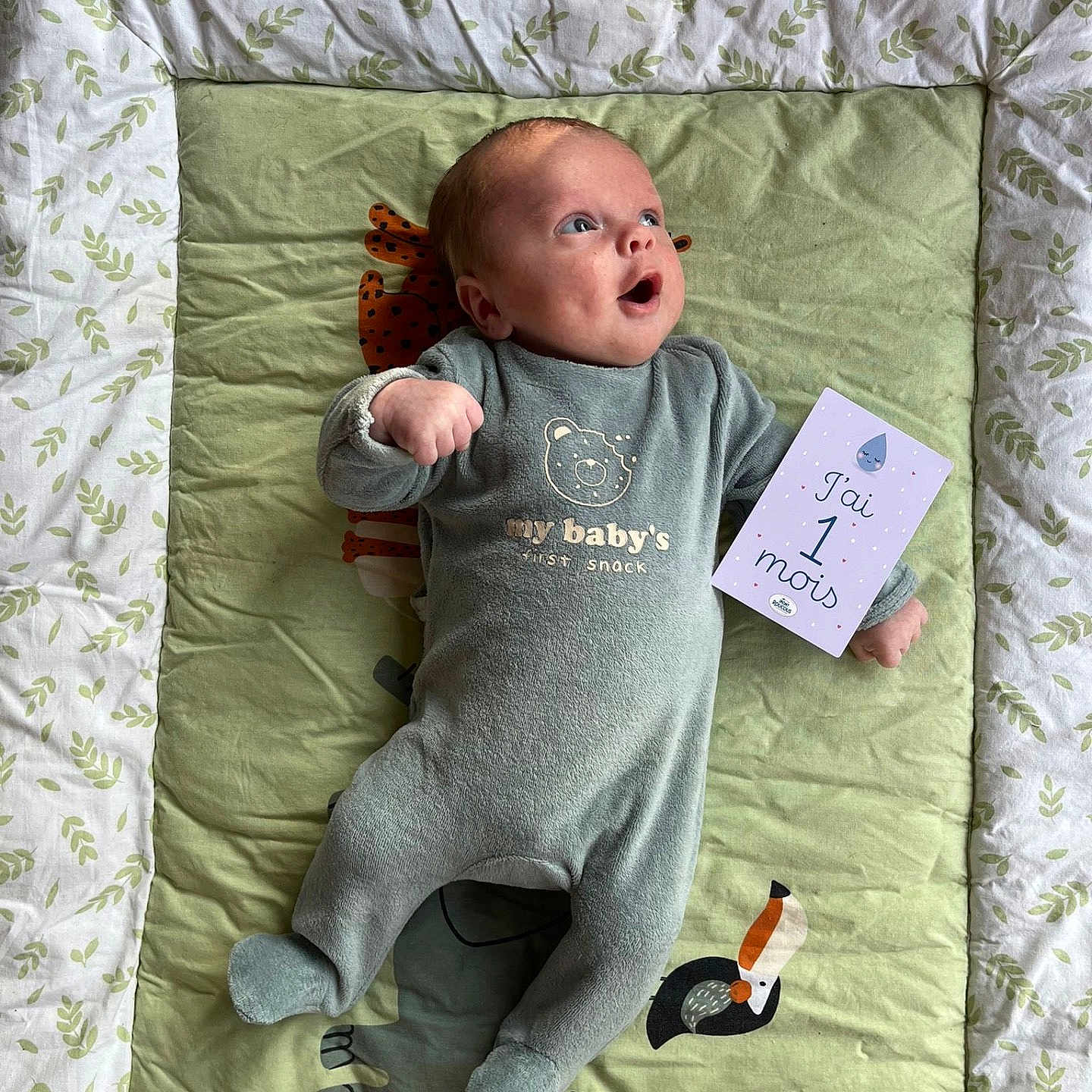 Tom participe au concours pour gagner de l'argent avec cette photo : baby, blanket, card, celebration, child, clothing, cute, expression, face, green, happy, indoors, infant, lying_down, milestone, newborn, onesie, pattern, person, soft