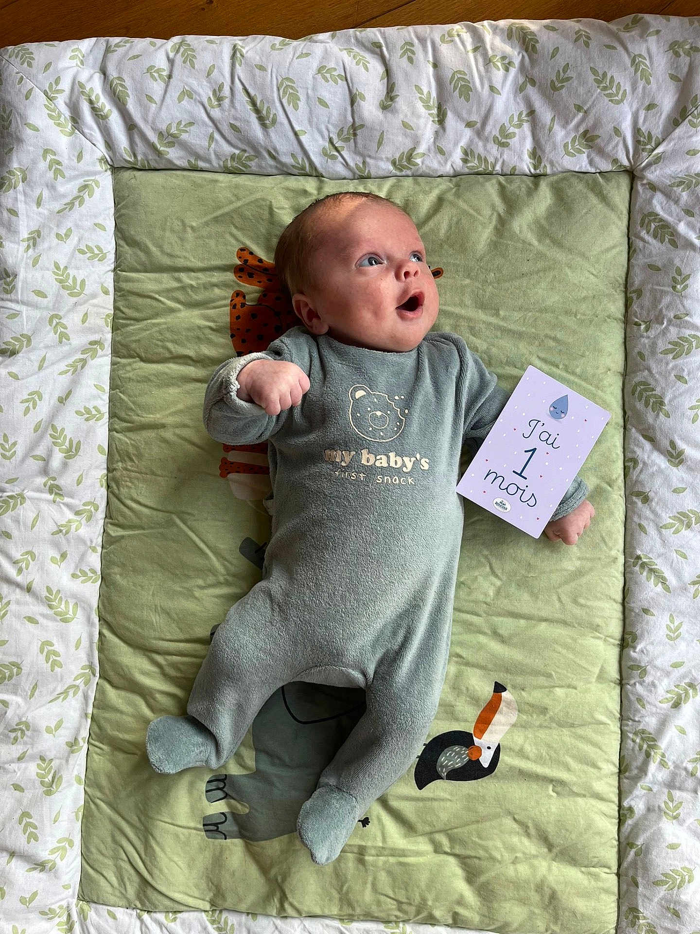 Tom participe au concours pour gagner de l'argent avec cette photo : baby, infant, onesie, blanket, card, face, expression, lying_down, green, pattern, celebration, milestone, cute, child, newborn, soft, clothing, person, indoors, happy