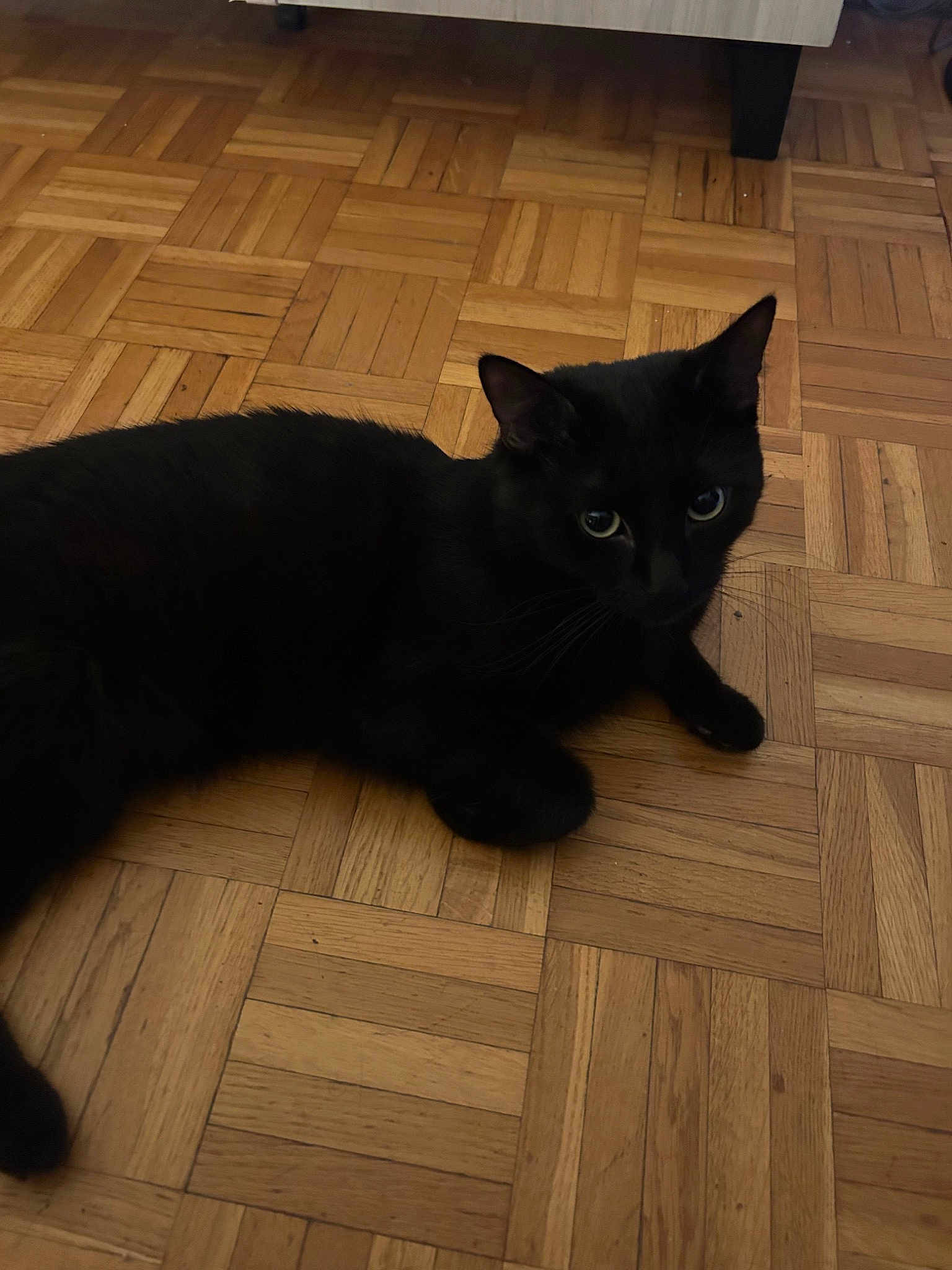 Blacky