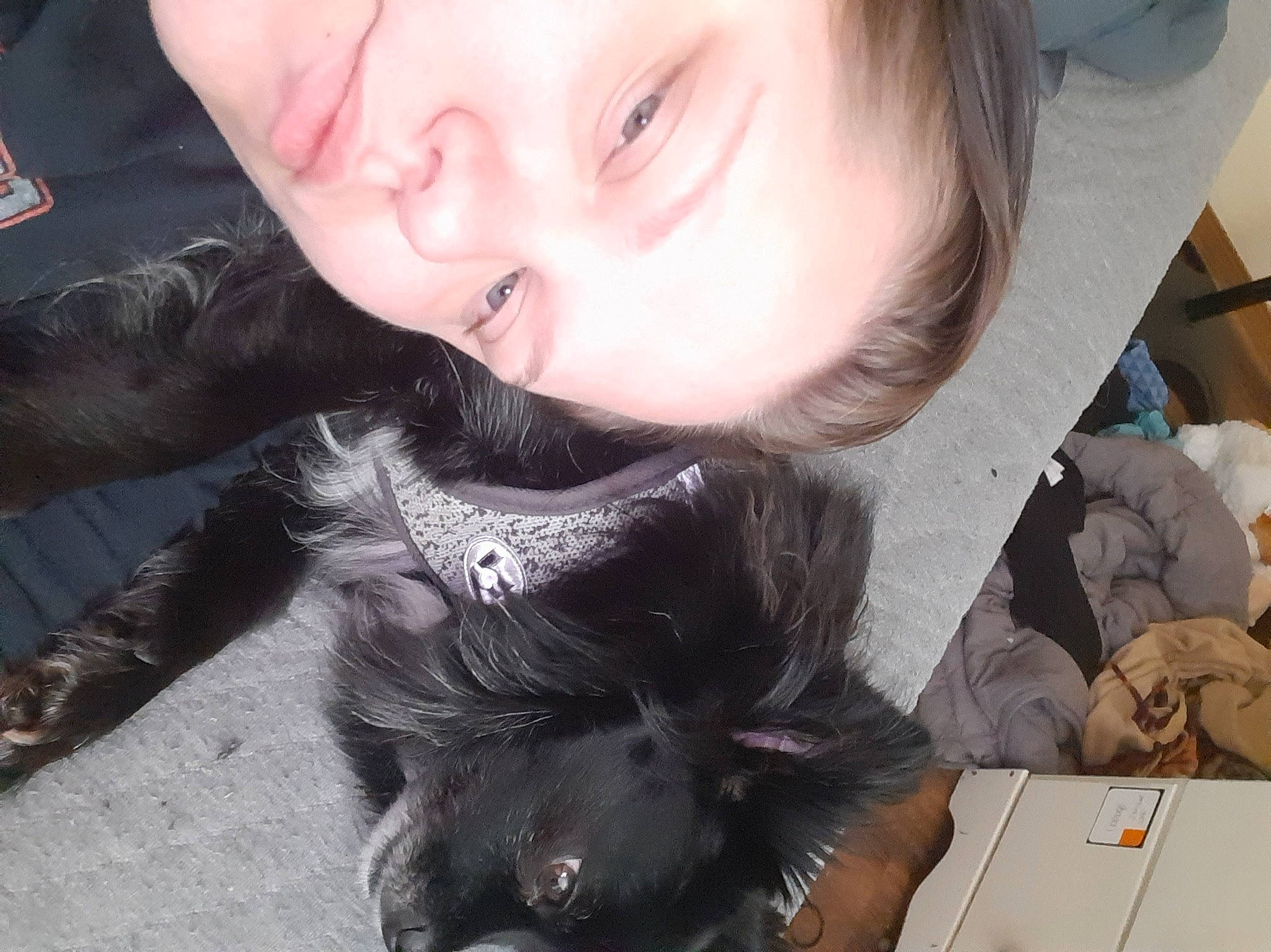 Tucker is registered to the contest to win money with this photo: black_hair, carnivore, companion_dog, ear, eye, eyebrow, eyelash, felidae, gesture, hair, happy, iris, jaw, lip, mouth, neck, nose, skin, small_to_medium_sized_cats, smile