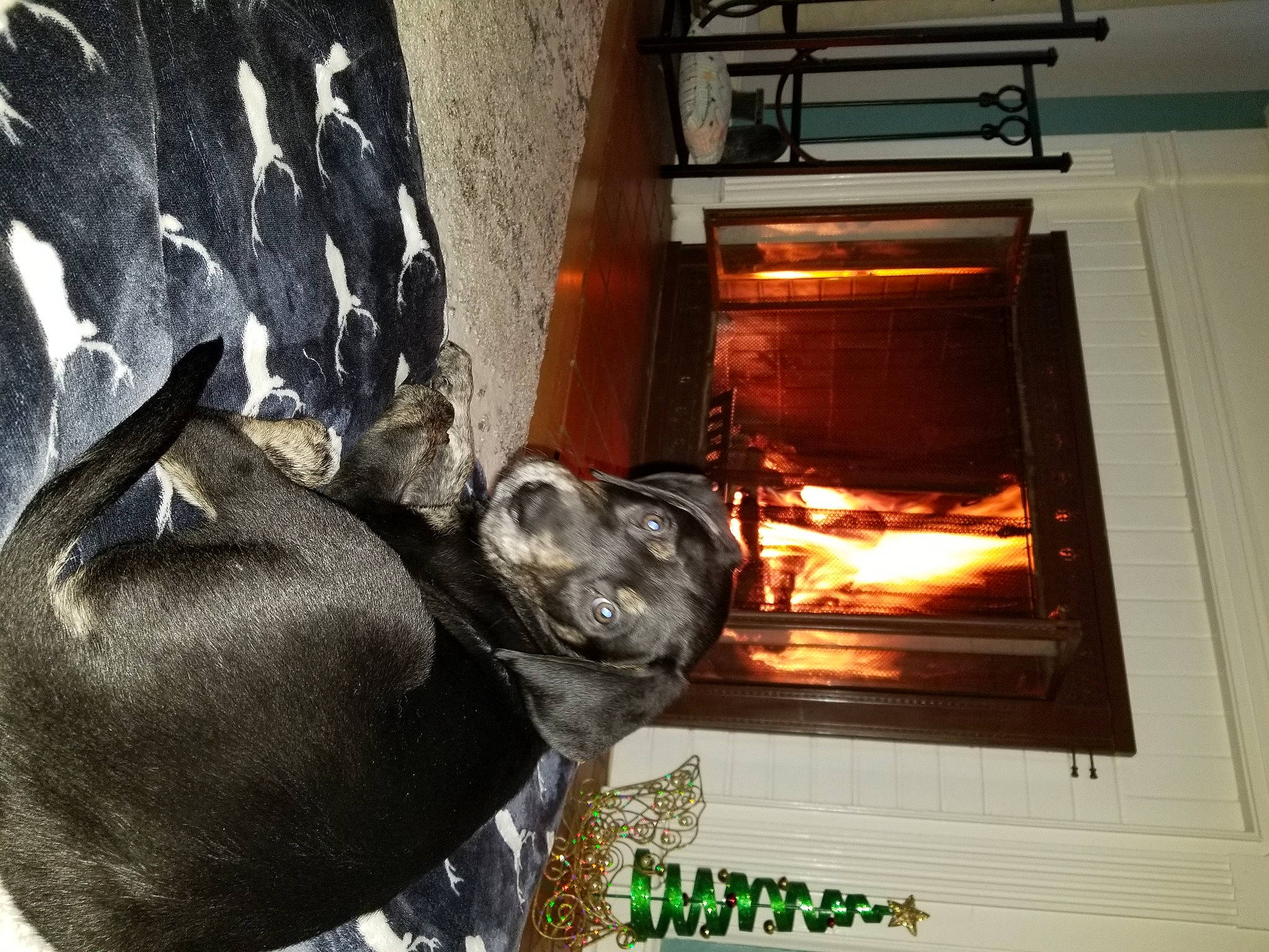 Ruger joined the competition — help win amazing prizes! art, automotive_lighting, fire, fire_screen, fireplace, flame, gas, hearth, heat, personal_protective_equipment, rectangle, room, sculpture, statue, stove, tints_and_shades, window, wood, wood_burning_stove, working_animal