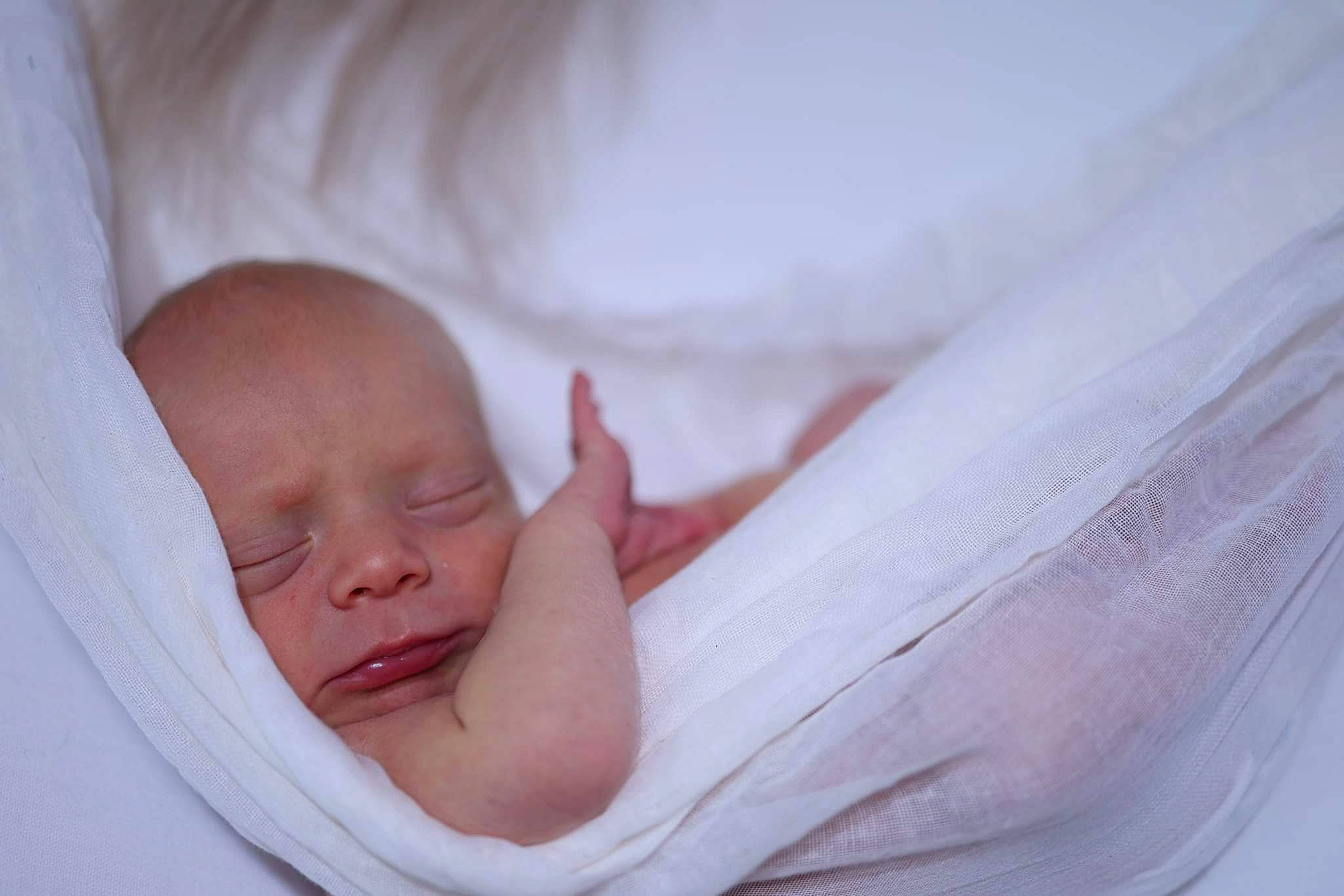 Willard joined the competition — help win amazing prizes! baby, baby_products, baby_toddler_clothing, bedtime, cheek, child, comfort, event, hand, linens, person, portrait_photography, room, sleep, toddler