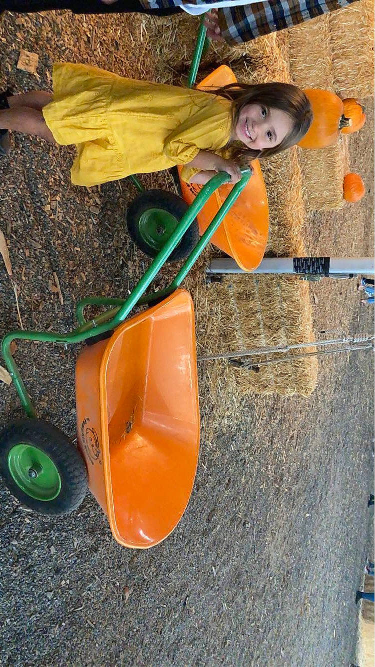 Kathleen is registered to the contest to win money with this photo: asphalt, boats_and_boating_equipment_and_supplies, concrete, dress, fun, garden_tool, hat, joy, leisure, orange, outdoor_play_equipment, paint, person, plastic, recreation, sand, shovel, soil, street_light, tints_and_shades