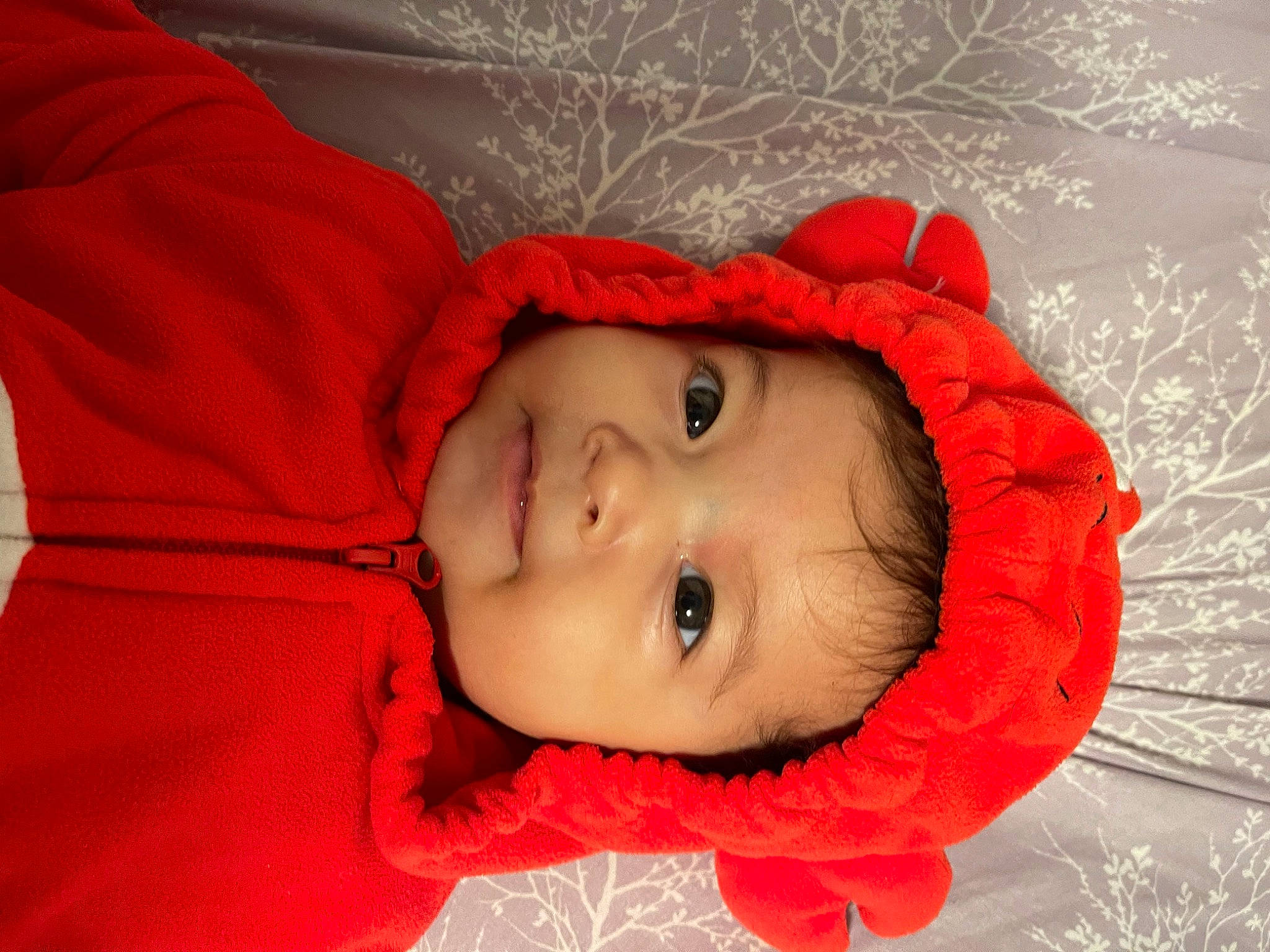 Sloane joined the competition — help win amazing prizes! baby, baby_toddler_clothing, cheek, child, comfort, eyebrow, eyelash, flash_photography, fur, happy, headgear, headwear, iris, lip, mouth, nose, person, portrait_photography, smile, toddler